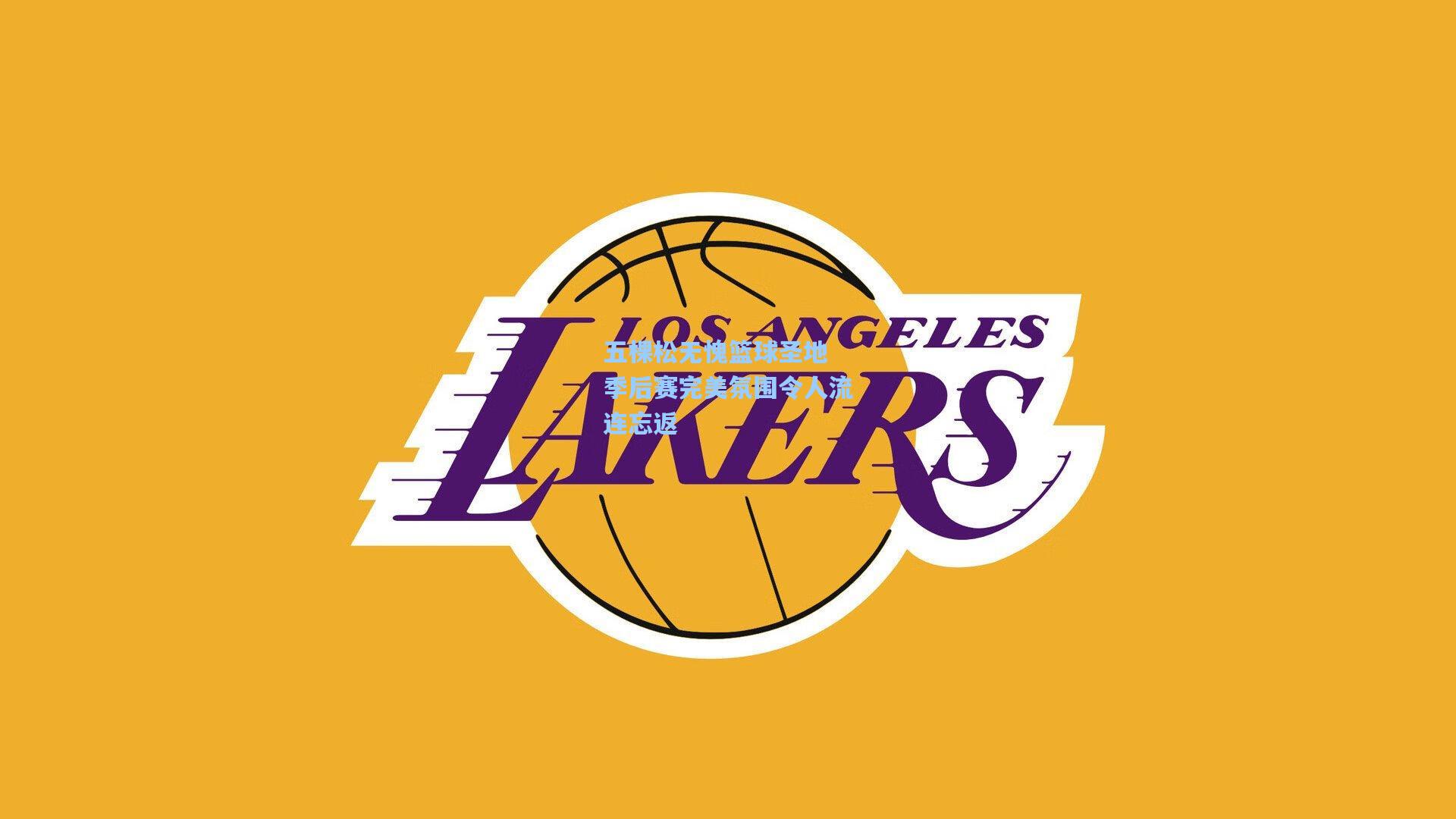 五棵松无愧篮球圣地 季后赛完美氛围令人流连忘返